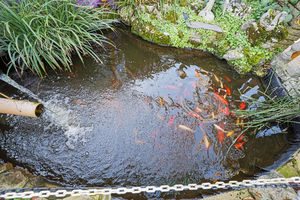 Photo 19- click for photo gallery